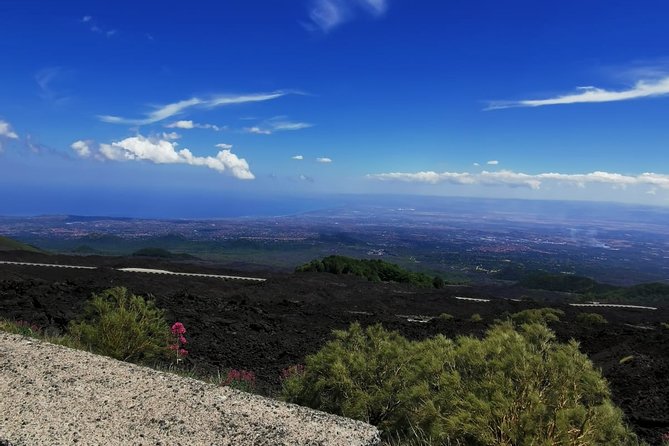 From Catania: Private mt. Etna trekking and pic-nic - The guide makes the private format worthwhile