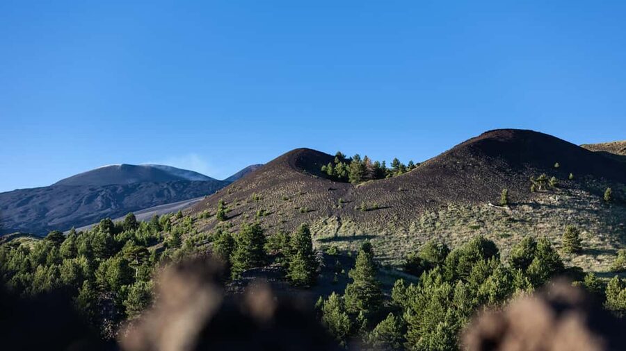 From Catania: trek on Mount Etna, Lava Cave & tasting Tour - Should you book this Etna tour?