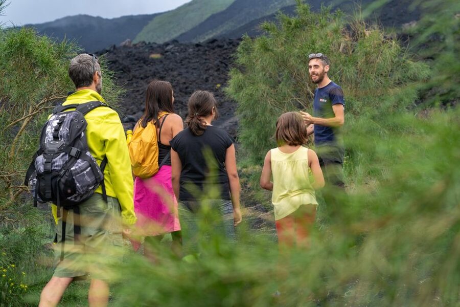 From Catania: trek on Mount Etna, Lava Cave & tasting Tour - Transport, timing, and the real price