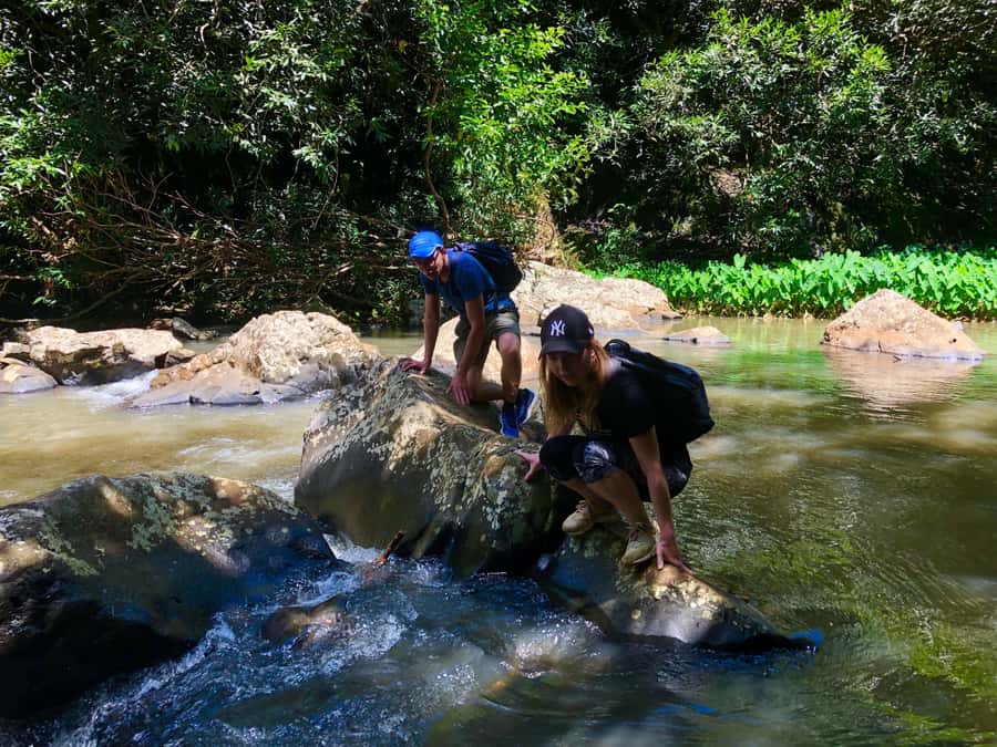 From Chamarel: Waterfall Eco-Hike Adventure - Key points to know before you go