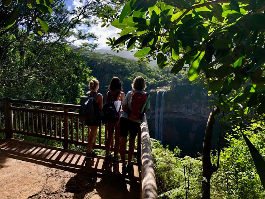 From Chamarel: Waterfall Eco-Hike Adventure - The protected area and its wild sounds