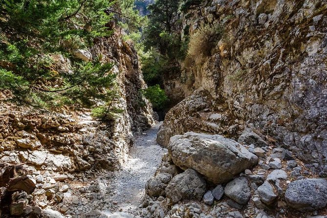 From Chania: Imbros Gorge and Sfakia Experience Hike & Swim - Walking the historic Imbros Gorge
