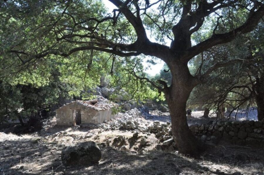 From Chania: Imbros Gorge Guided Hike and Village Visit - Walking the 9 km trail through Imbros Gorge