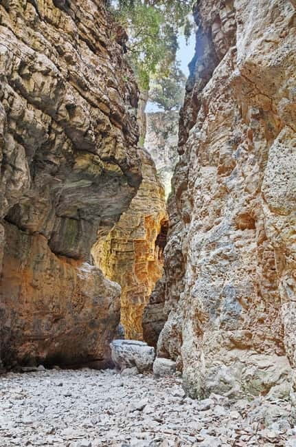 From Chania:Imbros Gorge Tour with Professional Hiking Guide - Key points to know before booking