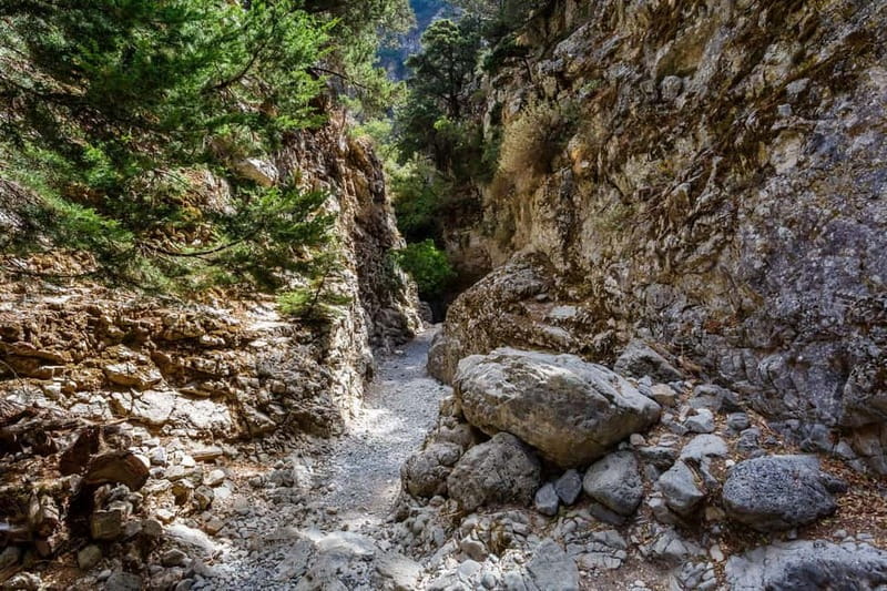 From Chania:Imbros Gorge Tour with Professional Hiking Guide - A traditional breakfast stop and Sfakiani pie