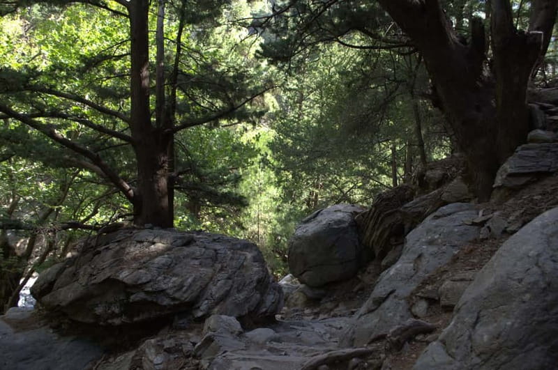 From Chania: Samaria Gorge Hike with Local Mountain Guide - Walking the 18-kilometre Samaria Gorge