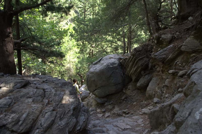 From Chania: Samaria Gorge Hike with Local Mountain Guide - The trail’s real difficulty