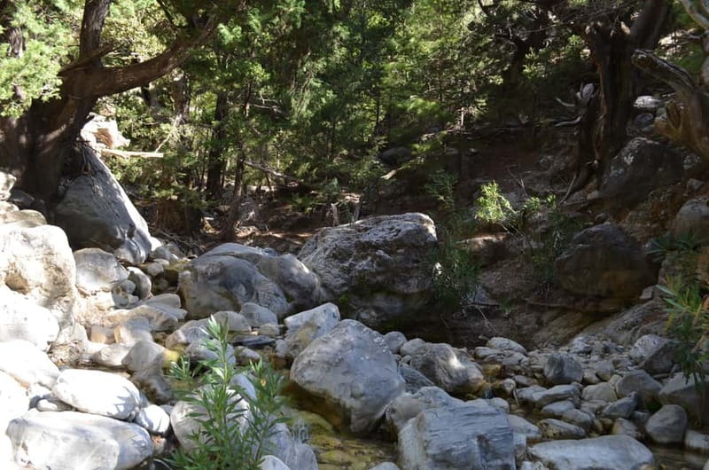 From Chania: Samaria Gorge Hike with Local Mountain Guide - Rest areas, toilets, and spring water