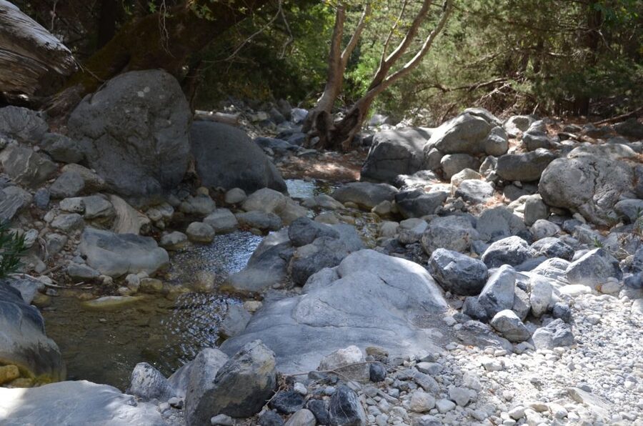 From Chania: Samaria Gorge Hike with Local Mountain Guide - Agia Roumeli after the hike