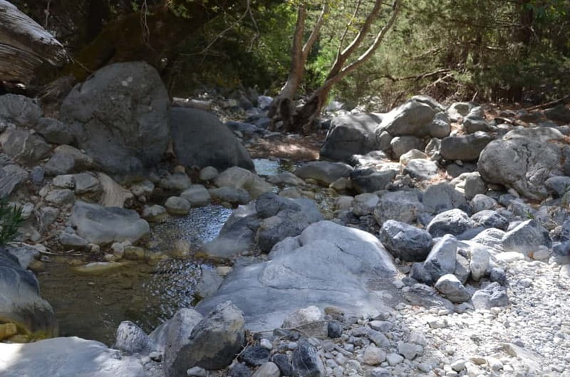 From Chania: Samaria Gorge Hike with Local Mountain Guide - The ferry from Agia Roumeli to Sougia