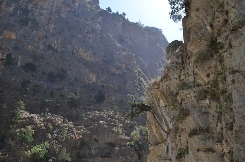 From Chania: Samaria Gorge Hike with Local Mountain Guide - The early pickup from Chania and Platanias
