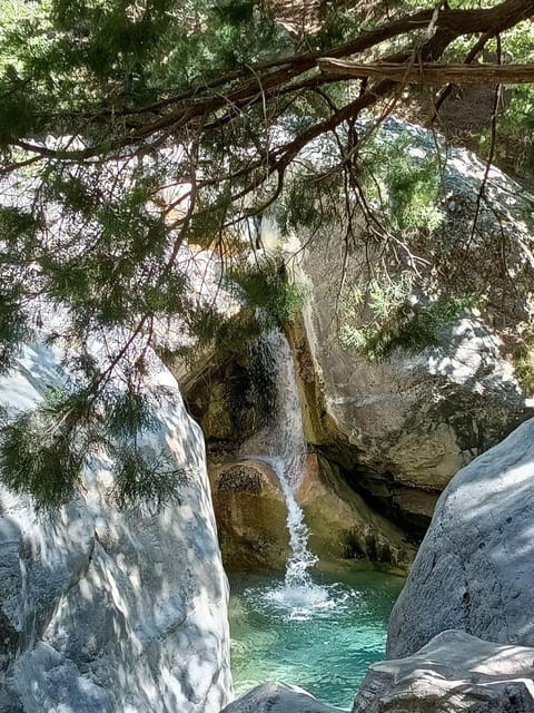 From Chania: Samaria Gorge with Professional Hiking Guide - What the $37 price really covers