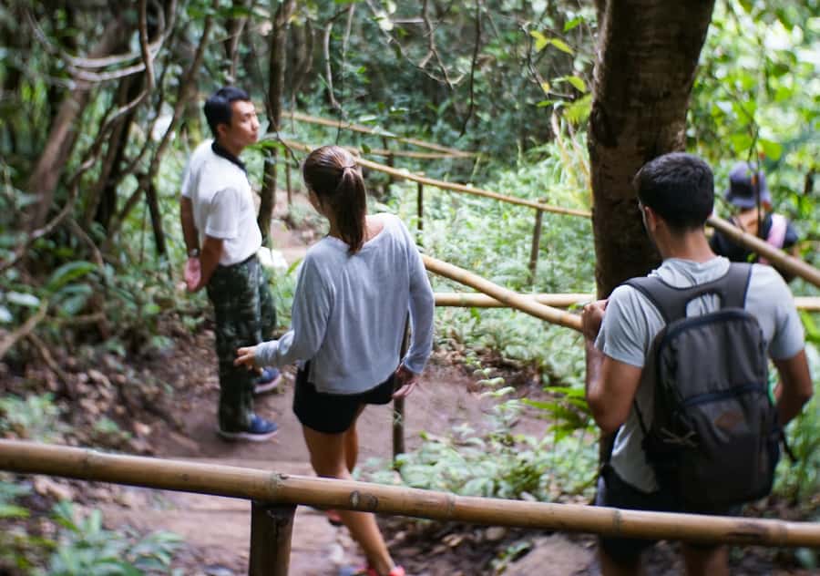 From Chiang Mai: Doi Inthanon National Park Day Trip & Hike - Key points to know before you book