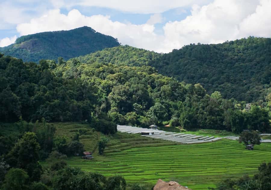 From Chiang Mai: Doi Inthanon National Park Day Trip & Hike - Why Doi Inthanon makes a rewarding day from Chiang Mai