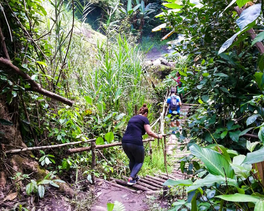 From Chiang Mai: Doi Inthanon National Park Day Trip & Hike - Twin pagodas with broad mountain views