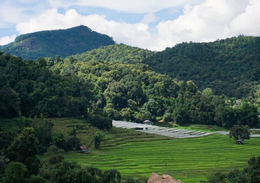 From Chiang Mai: Doi Inthanon National Park Day Trip & Hike - A short stop at the Thai Hmong Community Market
