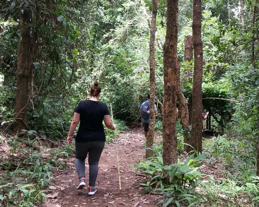 From Chiang Mai: Doi Inthanon National Park Day Trip & Hike - Mae Klang Luang and coffee with the Karen community