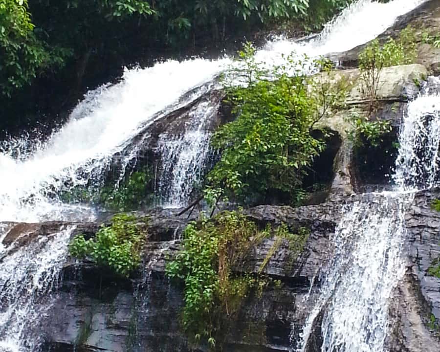 From Chiang Mai: Doi Inthanon National Park Day Trip & Hike - What the $106 price includes