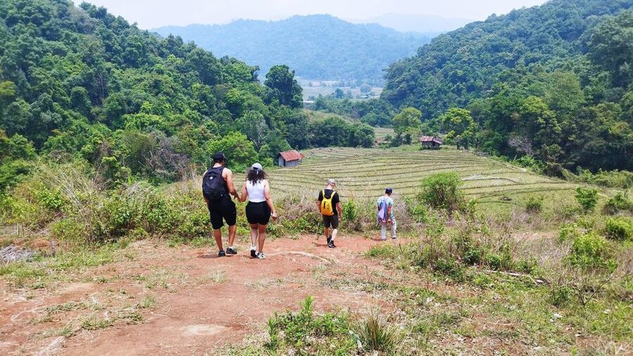 From Chiang Mai: Doi Inthanon National Park Hiking Tour - Why Doi Inthanon makes a good full-day trip