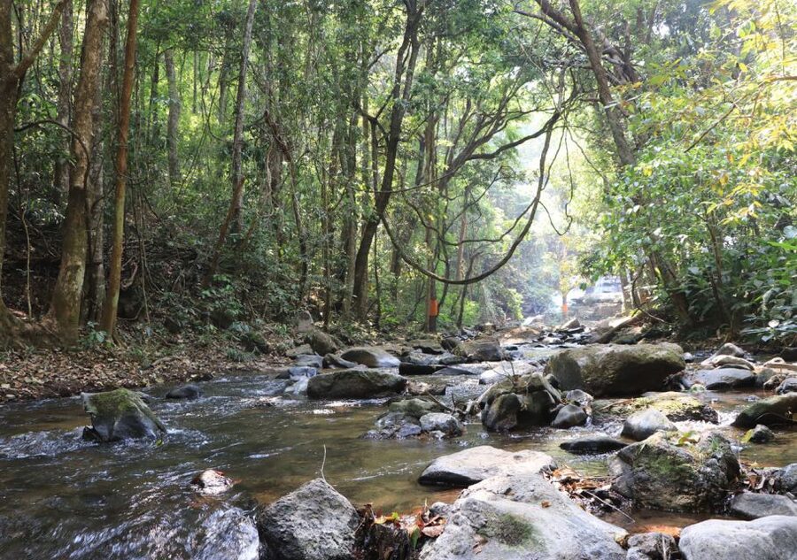 From Chiang Mai: Doi Inthanon National Park Hiking Tour - Waterfalls, swimming, and a cool break