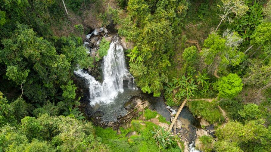 From Chiang Mai: Doi Inthanon National Park Hiking Tour - The 4km trail through forest and farmland