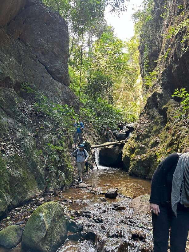 From Chiang Mai: Doi Saket Hiking Tour with Lunch - The return route, natural bridges, and forest fruit