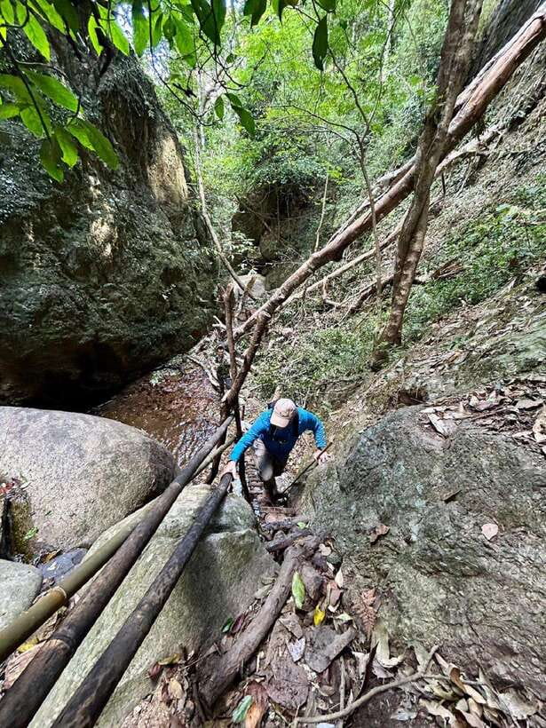 From Chiang Mai: Doi Saket Hiking Tour with Lunch - Who should book this jungle day?