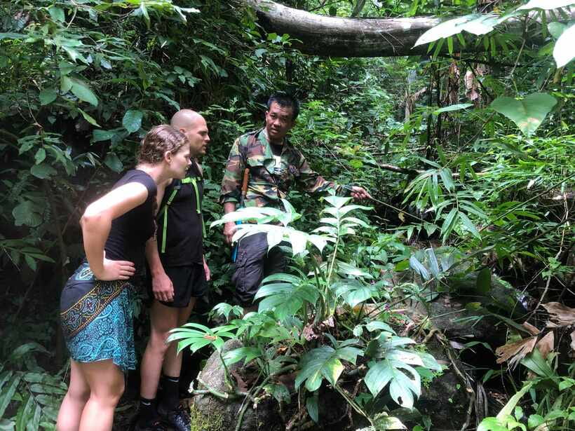 From Chiang Mai: Doi Saket Hiking Tour with Lunch - Five hours among old trees and wild plants