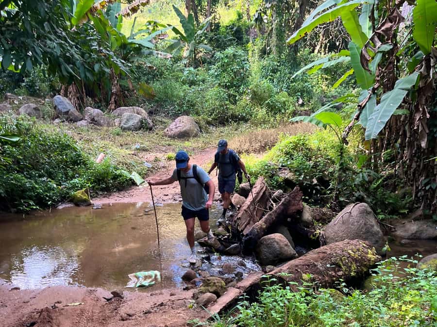 From Chiang Mai: High Mountain Day Trek - Key points to know