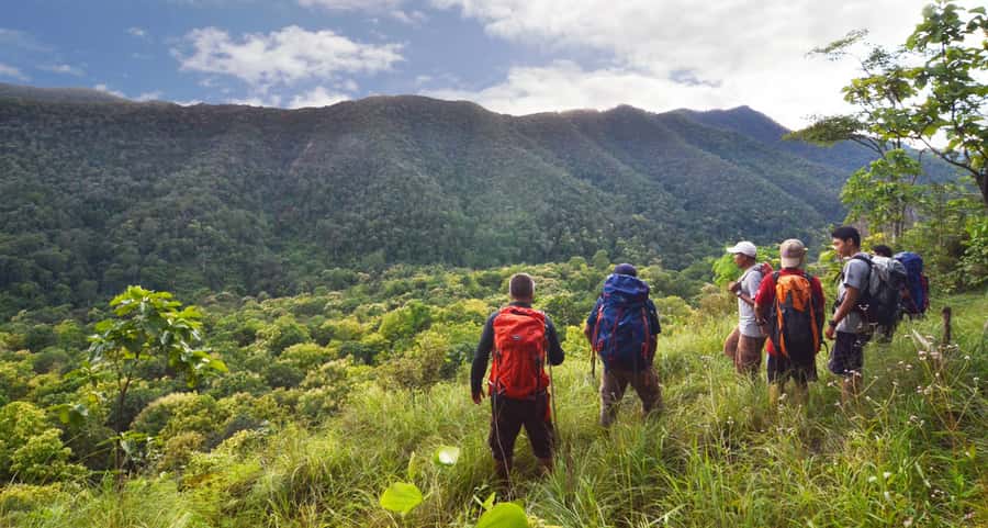 From Chiang Mai: High Mountain Day Trek - Learning the forest from guides such as Sap