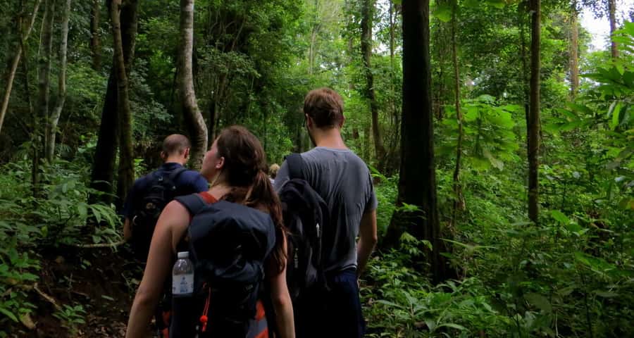 From Chiang Mai: High Mountain Day Trek - Lunch with mountain views and local flavor