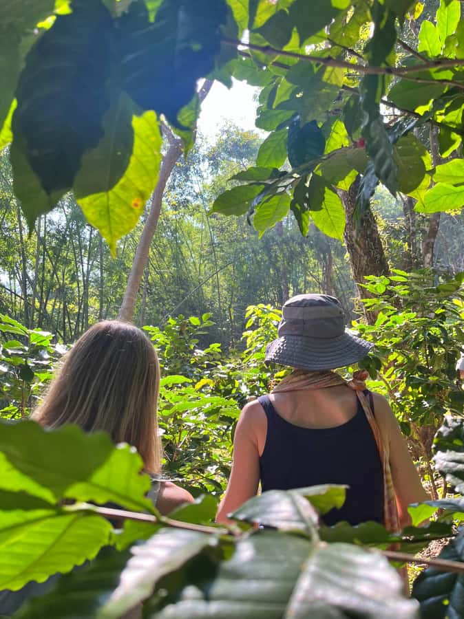 From Chiang Mai: High Mountain Day Trek - A village visit and a closer look at local life