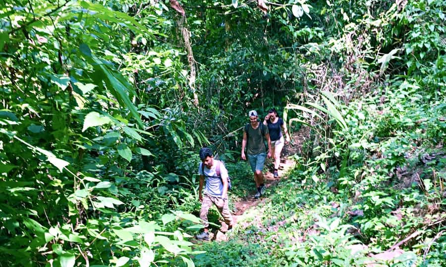 From Chiang Mai: High Mountain Day Trek - Returning through the forest and stopping at Wat Ban Den