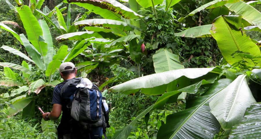From Chiang Mai: High Mountain Day Trek - What to pack for the trail
