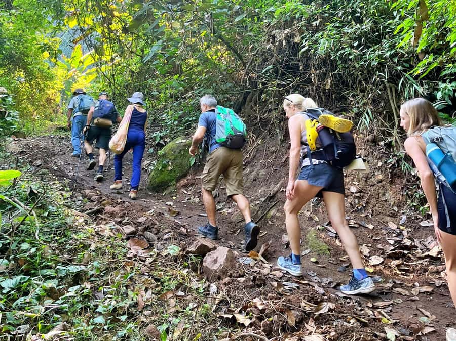 From Chiang Mai: High Mountain Day Trek - What the 4.5-kilometer hike feels like