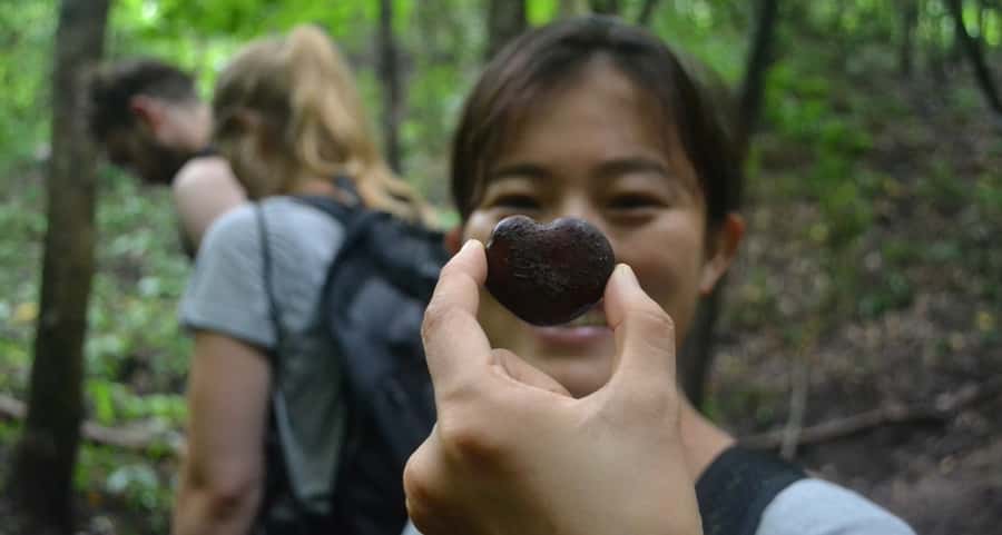 From Chiang Mai: Mae Taeng Valley Hike & Bike Day Trip - Key points to know before you book