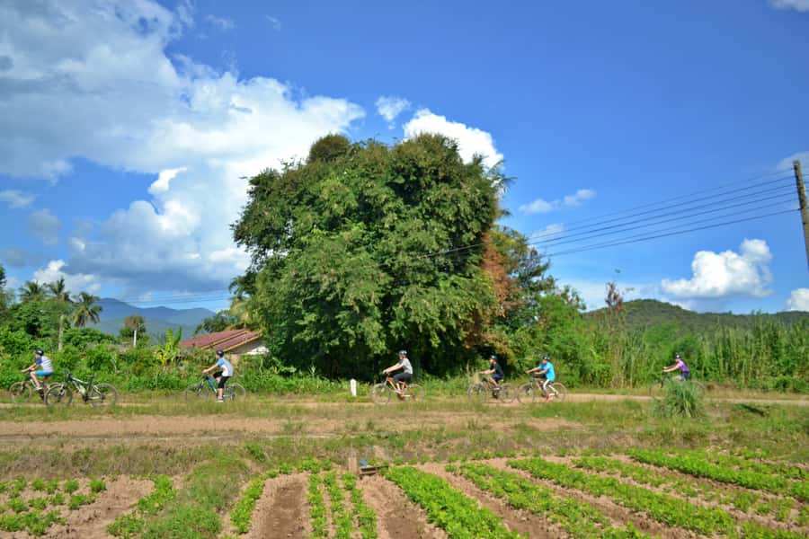 From Chiang Mai: Mae Taeng Valley Hike & Bike Day Trip - What the $83 price includes