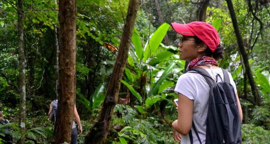 From Chiang Mai: Mae Taeng Valley Hike & Bike Day Trip - The 90-minute journey from Chiang Mai