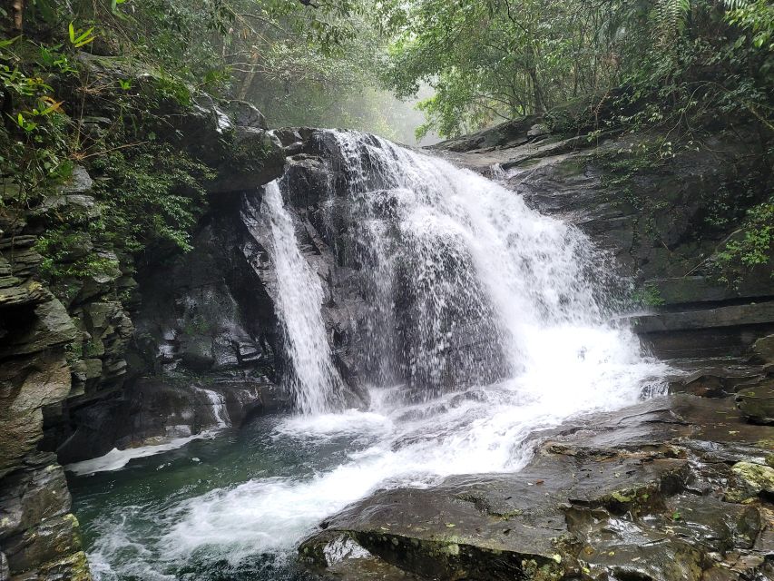 From Da Nang or Hoi An: Bach Ma National Park Trek & Lunch - Why Bach Ma makes a good day away from the coast