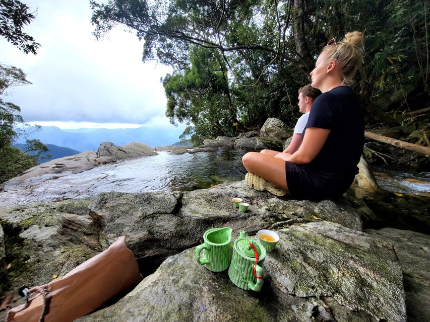 From Da Nang or Hoi An: Bach Ma National Park Trek & Lunch - Do Quyen Waterfall and the harder section