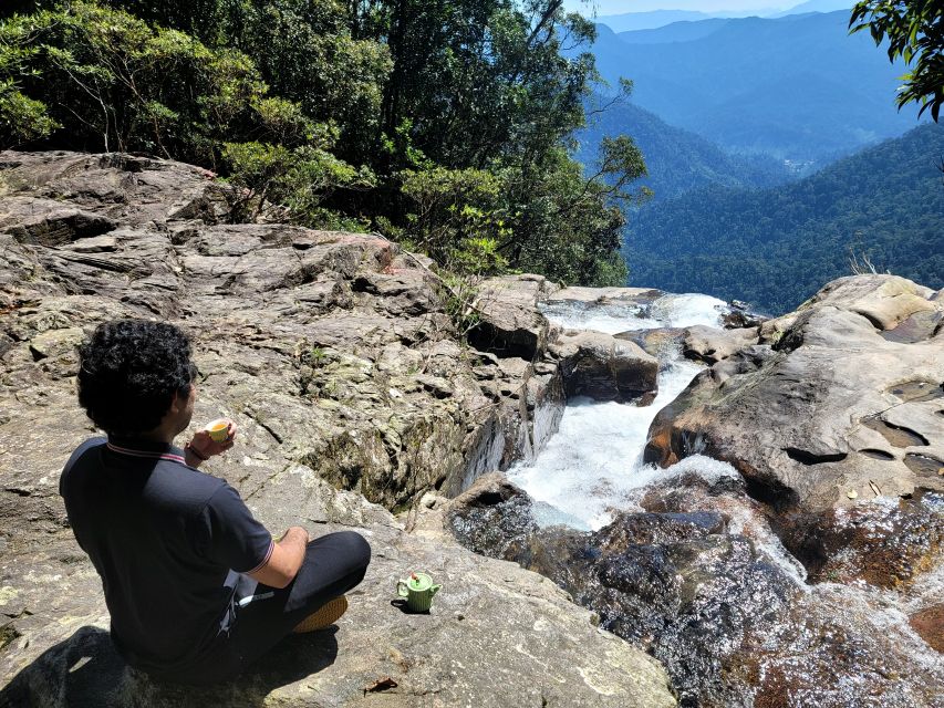 From Da Nang or Hoi An: Bach Ma National Park Trek & Lunch - Picnic lunch, tea, coffee, and a slower hour