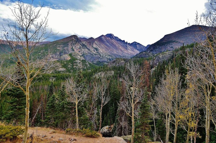 From Denver: Guided Hike in Rocky Mountain National Park - Lunch with a chance to spot wildlife