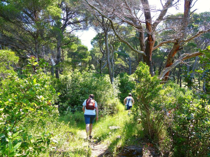 From Dubrovnik: Hiking & Swimming on Koločep Island Day Trip - Lunch at a small local fish restaurant