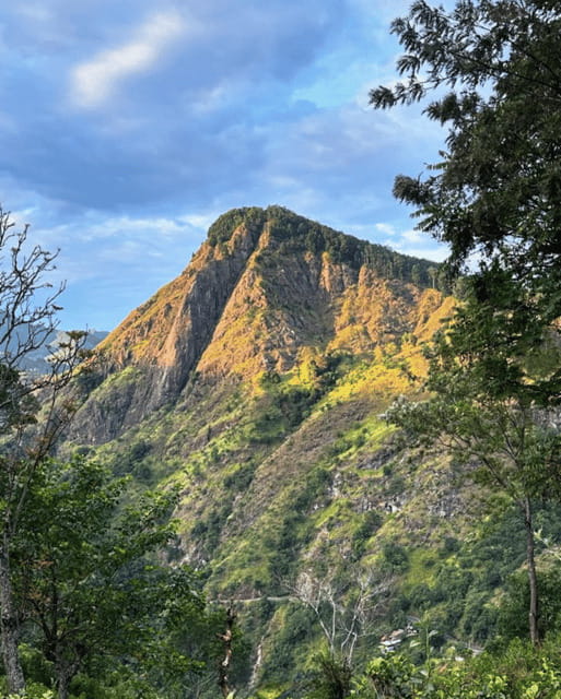 From Ella : Sunrise Hike to Little Adams Peak - Guide service and the English-language promise