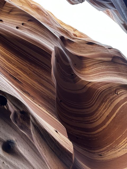 From Escalante: Zebra Slot Canyon Guided Tour and Hike - Entering the striped slot