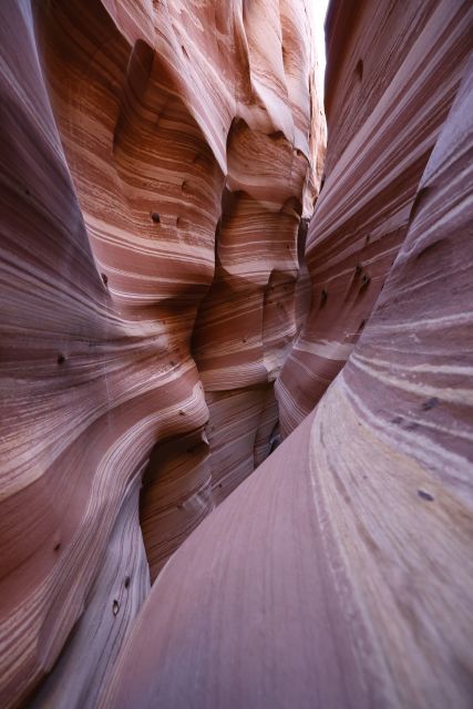 From Escalante: Zebra Slot Canyon Guided Tour and Hike - How demanding is the narrow passage?