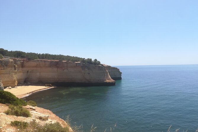 From Faro: Benagil Hiking Cliffs and the 4 Treasure Experience - Benagil Cave from the clifftop