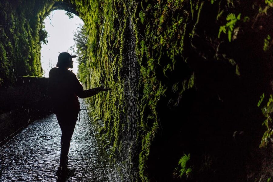 From Funchal/Caniço: Rabaçal Hike (25 Fontes) Bus Transfer - Key points to know before booking