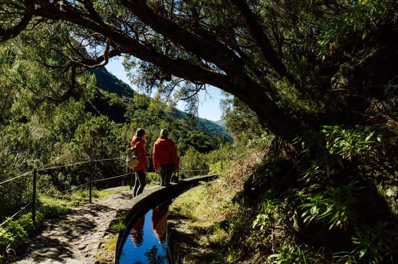From Funchal/Caniço: Rabaçal Hike (25 Fontes) Bus Transfer - Why this transfer works for Madeira’s 25 Fontes hike