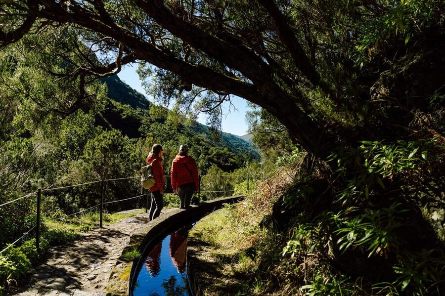 From Funchal/Caniço: Rabaçal Hike (25 Fontes) Bus Transfer - The drawbacks you should weigh